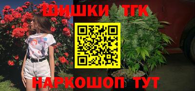 соль ск Будённовск