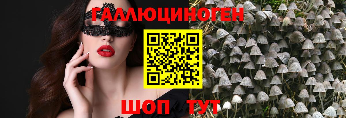дарнет шоп  Вход с VPN  Галлюциногенные грибы MAGIC MUSHROOMS  Лесной  Псилоцибиновые грибы MAGIC MUSHROOMS 